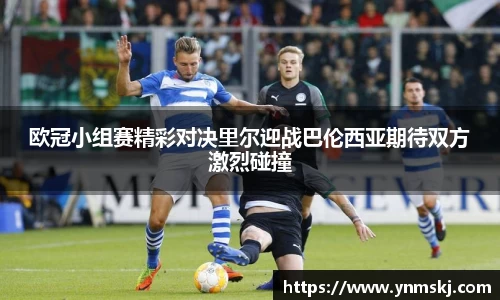 BB贝博登录入口