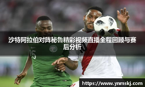 BB贝博登录入口