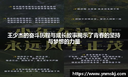 BB贝博登录入口