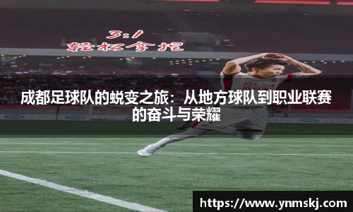 BB贝博登录入口