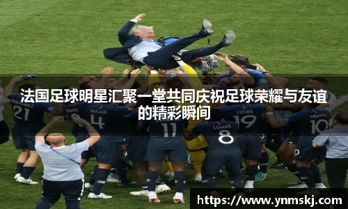 BB贝博登录入口