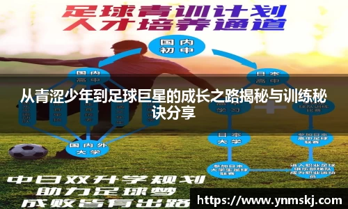 BB贝博登录入口