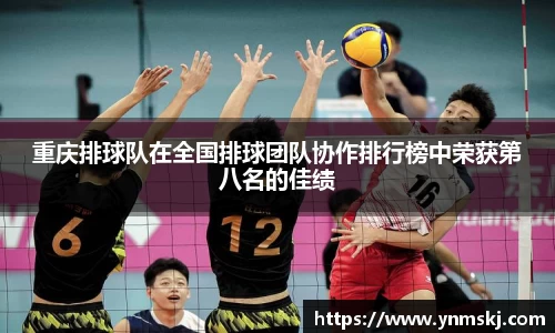 BB贝博登录入口